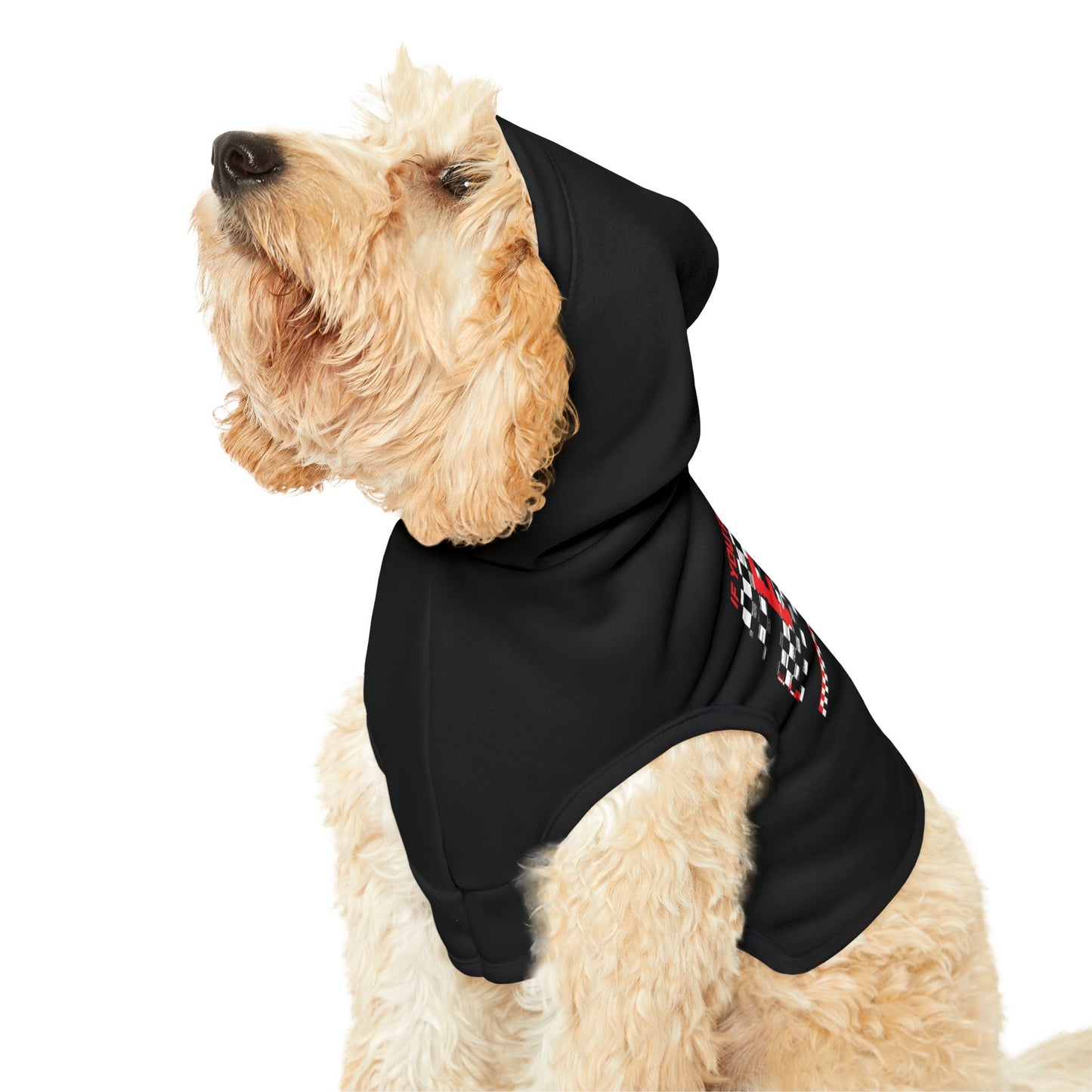 Ricky Bobby Pet Hoodie