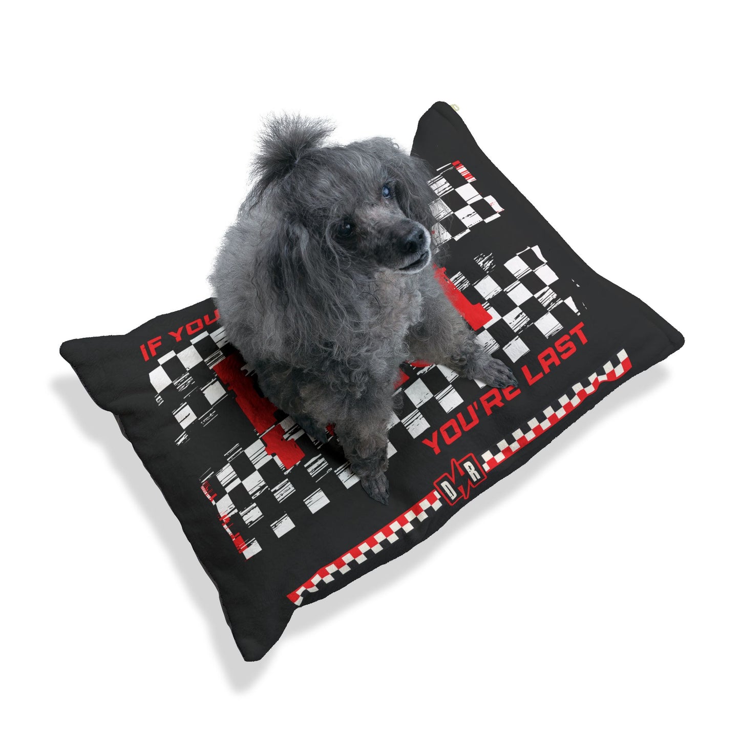 Ricky Bobby Pet Bed